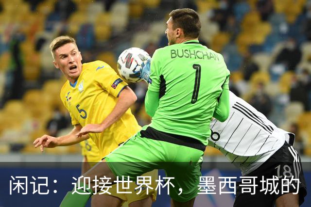 闲记：迎接世界杯，墨西哥城的“蝾螈化”实验